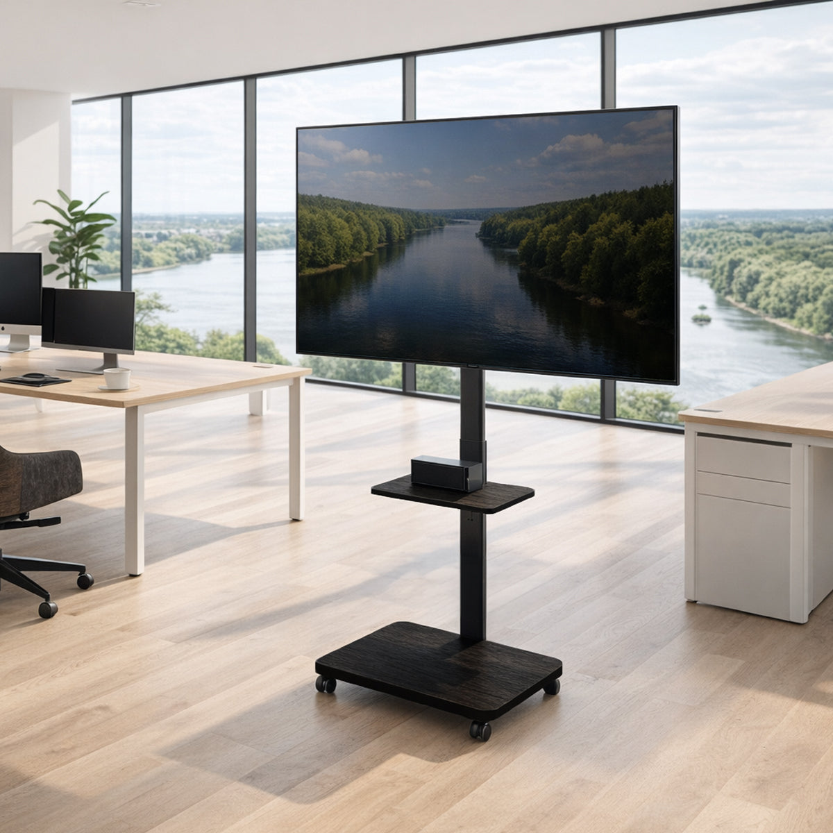 my wall TV Ständer mit Rollen höhenverstellbar (HP 129 L)
